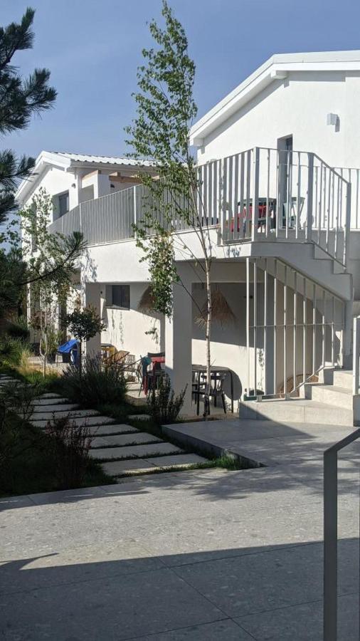 The Pines - Experiment Favelas Vama Veche Exterior foto